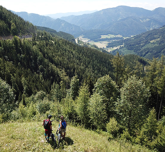 Panoramastraße