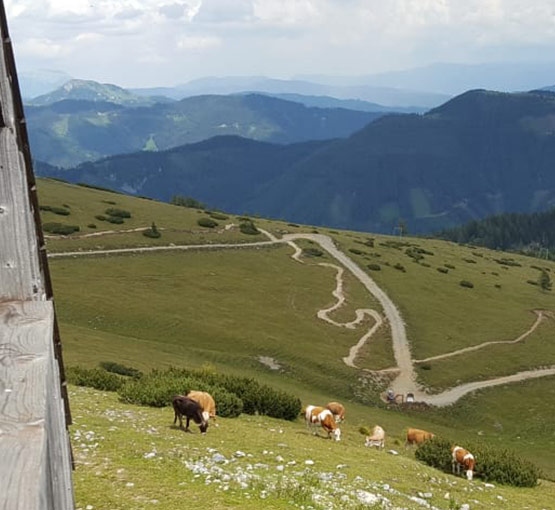 Windgrubentrail
