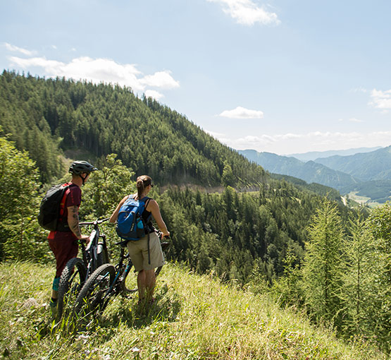 Biketour Panoramastraße
